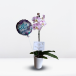 _ GIFT CUMPLE 003 🥳 - Imagen 2