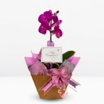 _ : GIFT CUMPLE 001🥳 - Imagen 2