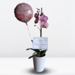 _ : GIFT CUMPLE 004🥳 - Imagen 2