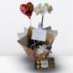 _1: BOX «AMOR PURO»❤️ - Imagen 2