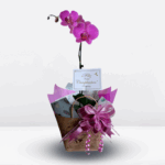_ : GIFT CUMPLE 001🥳 - Imagen 3