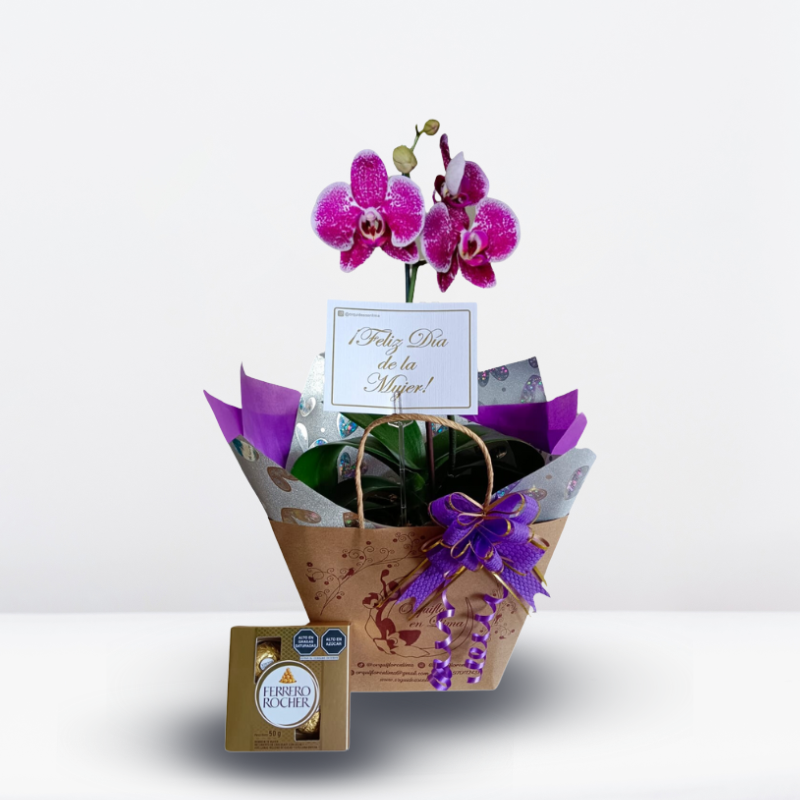 Productos web - 2025-08-25T115909.121 BOX Mujer empoderada 💜 - Imagen 1