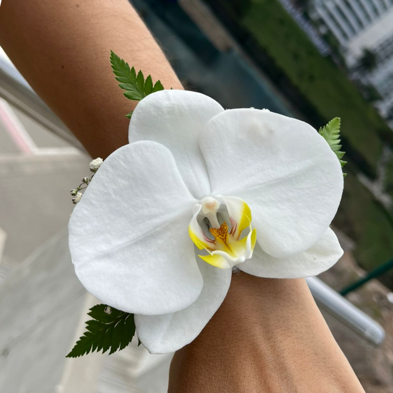 _A: CORSAGE ORQUIDEA BLANCA – MUÑECA (Pulsera Dorada)