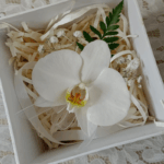 CORSAGE ORQUIDEA BLANCA – MUÑECA (Lazo) - Imagen 3