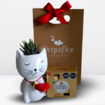 BOX Gatito Suculenta + Chocolates Ferrero Rocher de 4 unid.