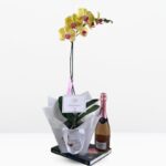 BOX Orquídea Grande & Champagne