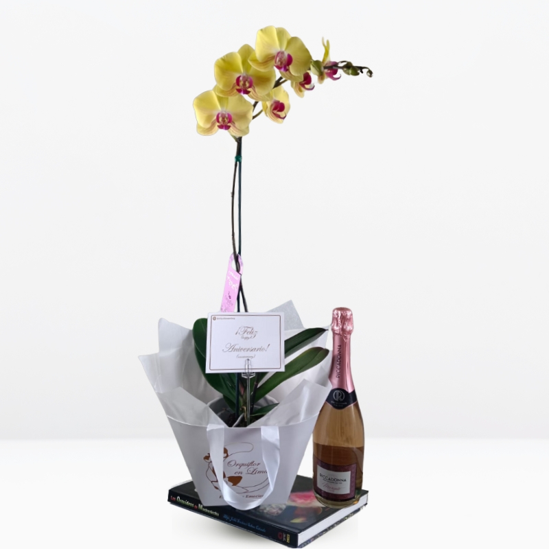 grandes (14) BOX Orquídea Grande & Champagne - Imagen 1
