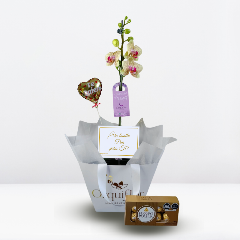 Productos web - 2025-09-18T185307.065 Box Floricienta - Imagen 1