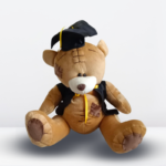 Peluche Oso Marrón de Graduación
