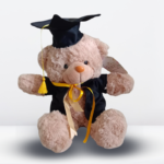 Peluche Osito Marrón de Graduación