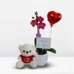 Box "Mi san Valentin"