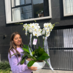 _Exclusivo Jardin de 6 Orquídeas Premium & Maceta Fibra de Vidrio - Imagen 2