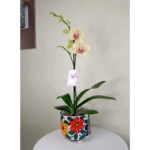 Orquídea Amarilla (Pulsation) & Pieza Única Artesanal
