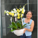 Exclusivo Jardín  de 7 Orquídeas Premium (Colores de Temporada) & Maceta Fibra de Vidrio