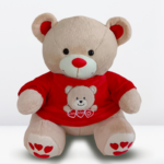 Z: Peluche AMOR