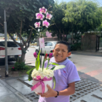 _ : Jardín Dulce Ensueño: Orquídea & 3 Tulipanes