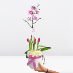 _ : Jardín Dulce Ensueño: Orquídea & 3 Tulipanes - Imagen 3