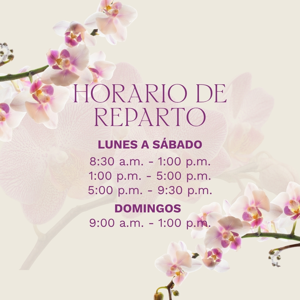 BANNERS WEB CELULAR (1)