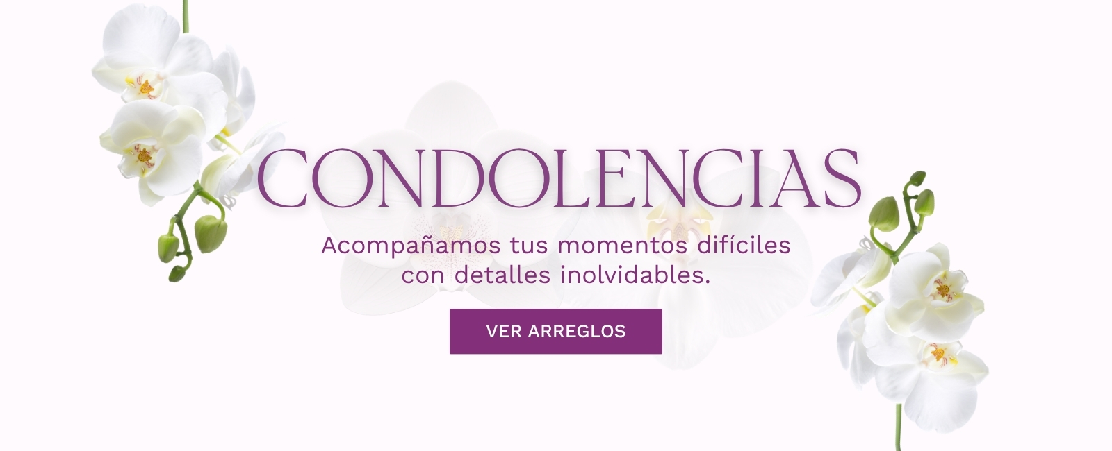 UTILIZADO MEJORAR
