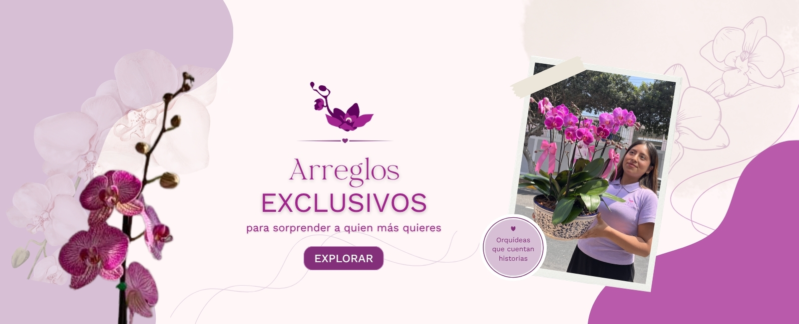 Banner web Arreglos Exclusivos