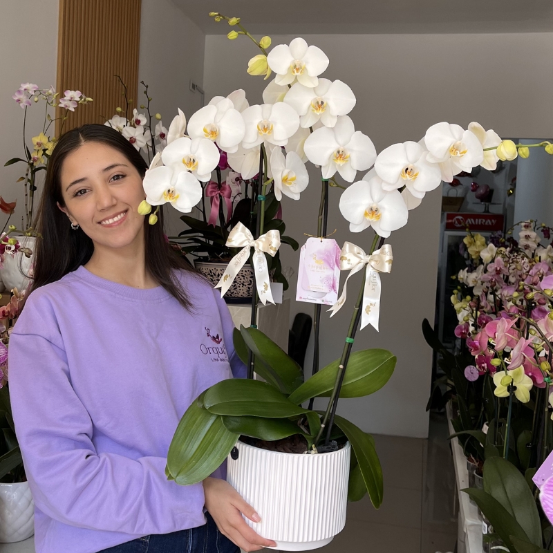 _1_: Jardín de Orquídeas Blancas de Colección & Maceta de Cerámica a Rayas