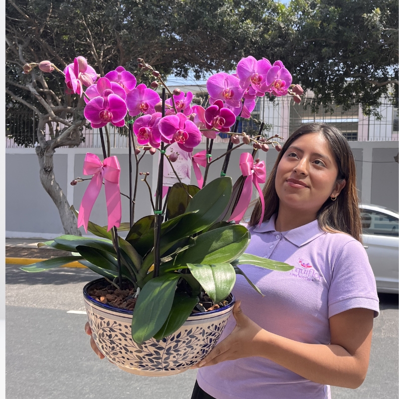 _1_ : Jardín de Orquídeas Fucsias de Colección & Maceta Artesanal Única