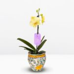 Orquídea Amarilla & Maceta Artesanal Única