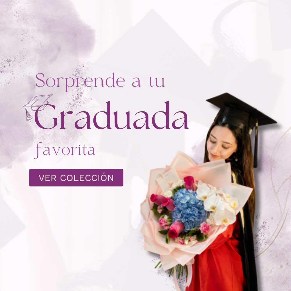 BANNERS WEB CELULAR (2)